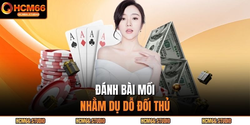 Đánh bài mồi nhằm dụ dỗ đối thủ