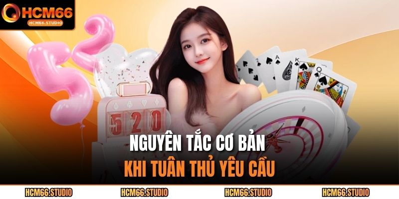 Nguyên tắc cơ bản khi tuân thủ yêu cầu
